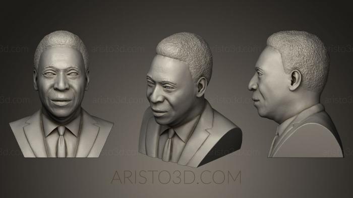 Busts and bas-reliefs of famous people (BUSTC_0486) 3D model for CNC machine